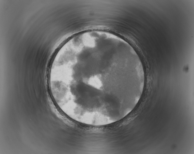 X0000115091038200912081230