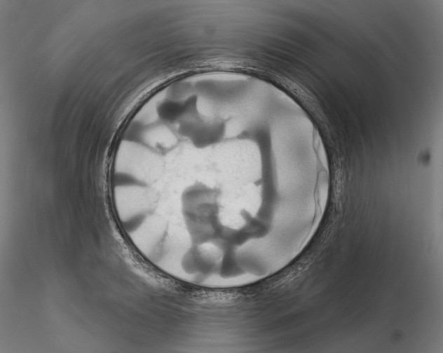X0000115091039200912081230