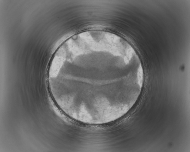 X0000115091042200912081230