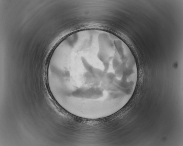X0000115091043200912081230