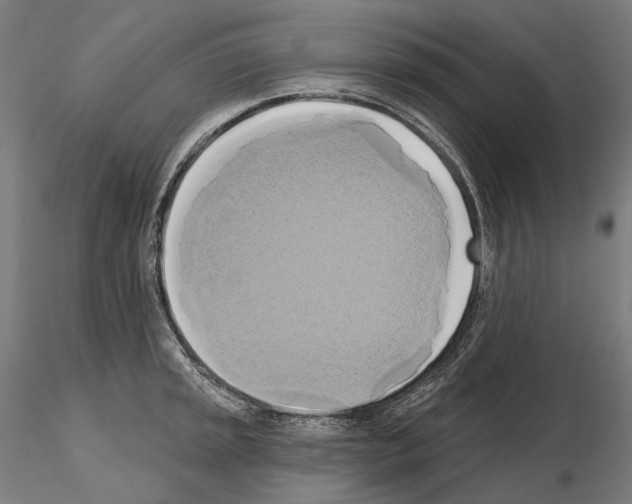 X0000115091045200912081230