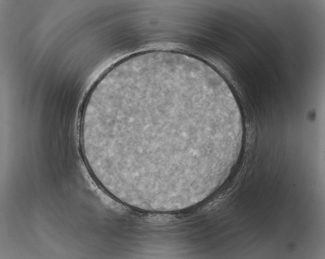 X0000115091046200912081230