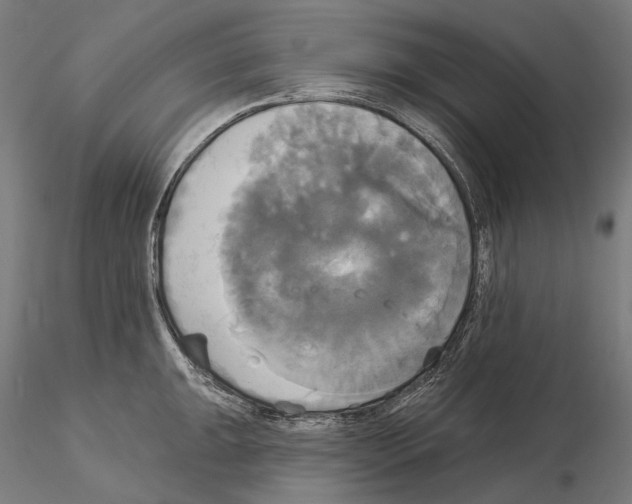 X0000115091047200912081230