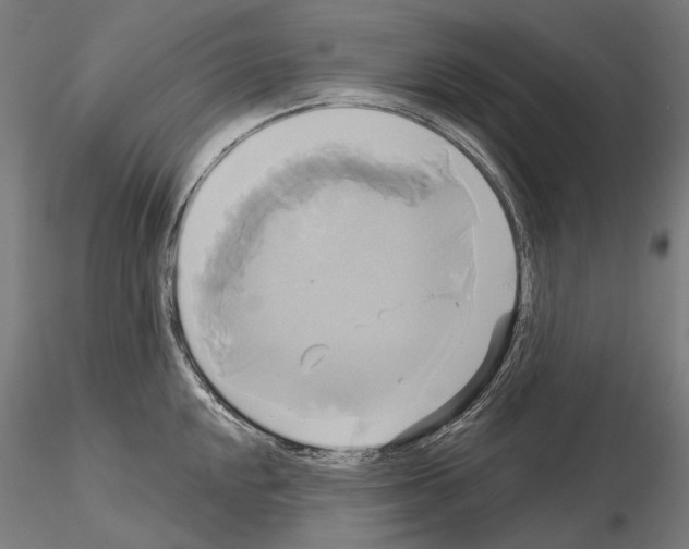 X0000115091048200912081230