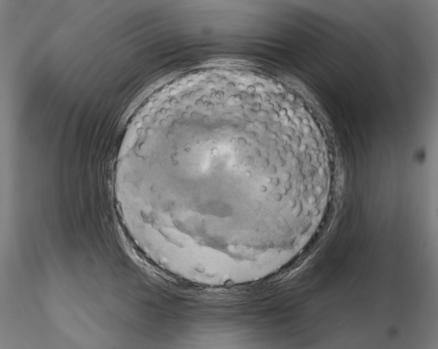 X0000115091049200912081230