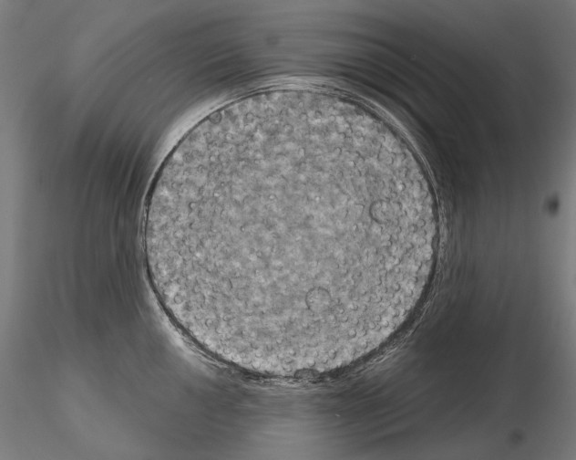 X0000115091050200912081230