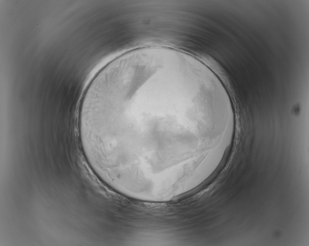 X0000115091052200912081230