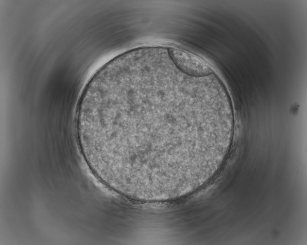 X0000115091053200912081230