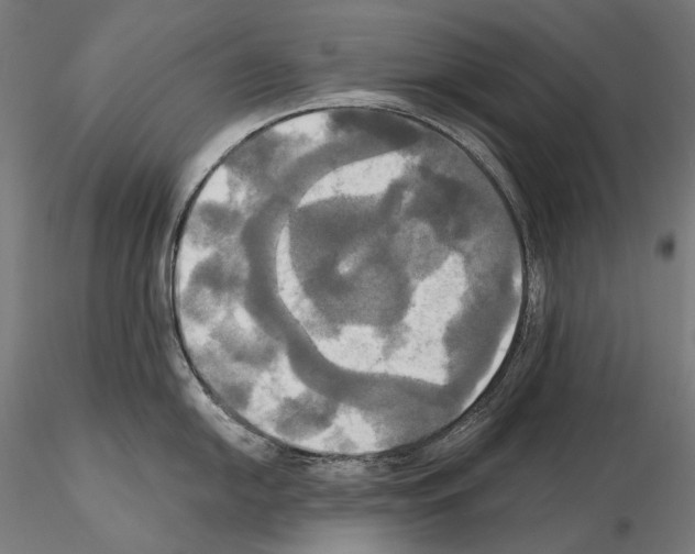 X0000115091054200912081230