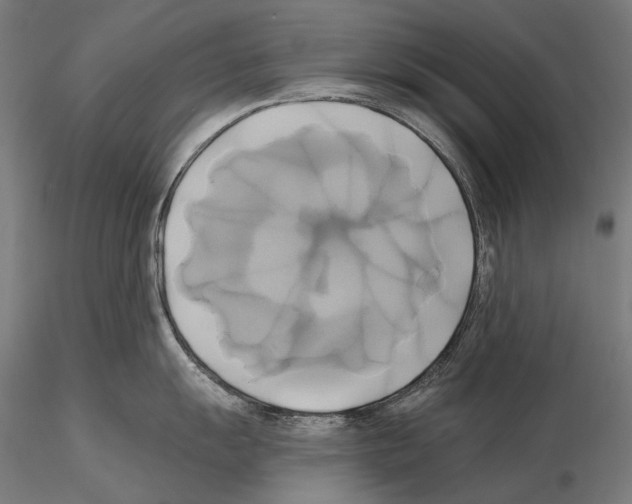 X0000115091055200912081230