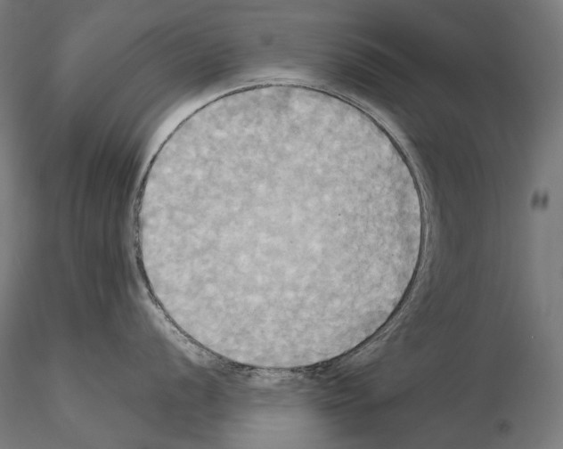 X0000115091056200912081230