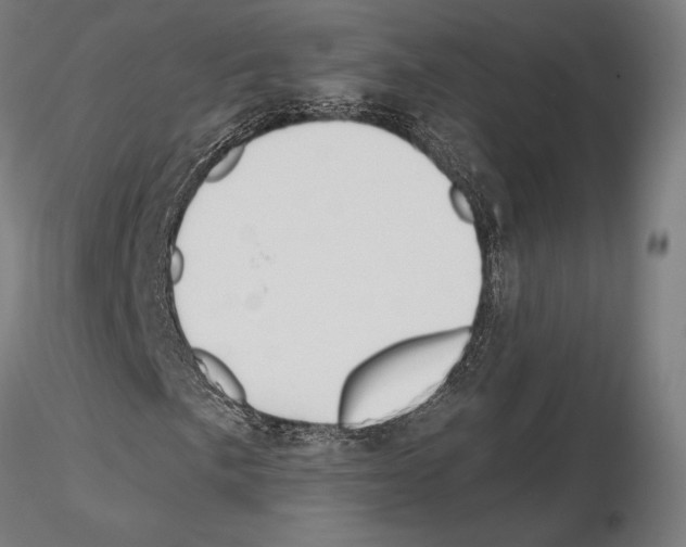X0000115091057200912081230