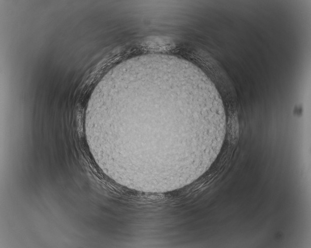 X0000115091058200912081230
