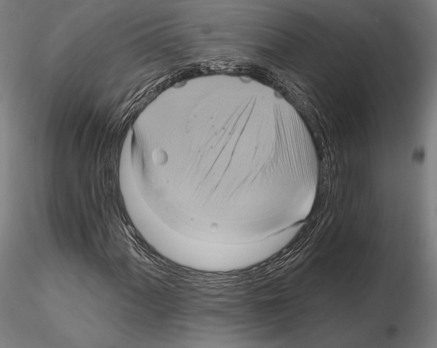 X0000115091060200912081229
