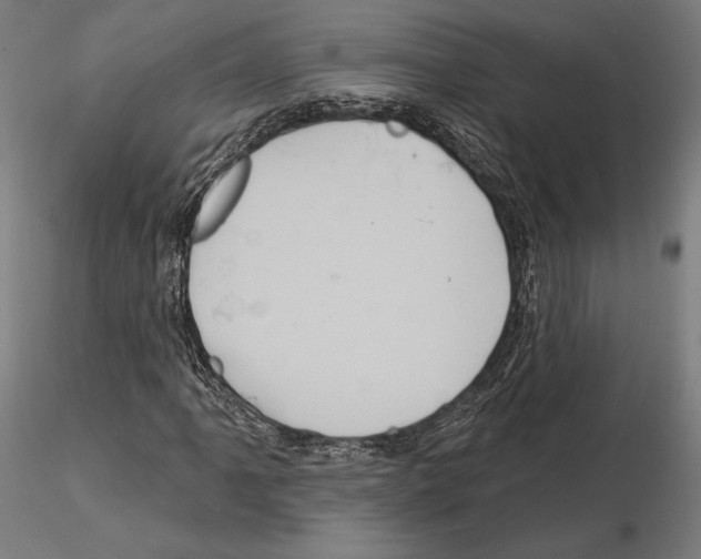 X0000115091061200912081229