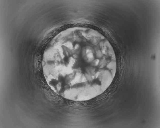 X0000115091063200912081229