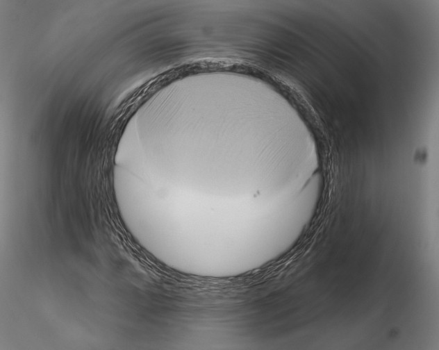 X0000115091064200912081229