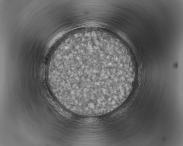 X0000115091067200912081229