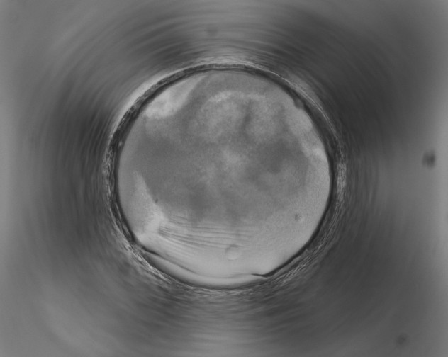 X0000115091068200912081229