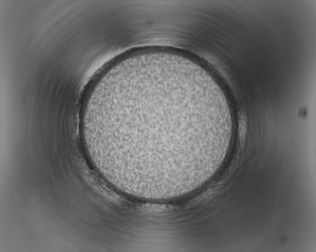 X0000115091069200912081229