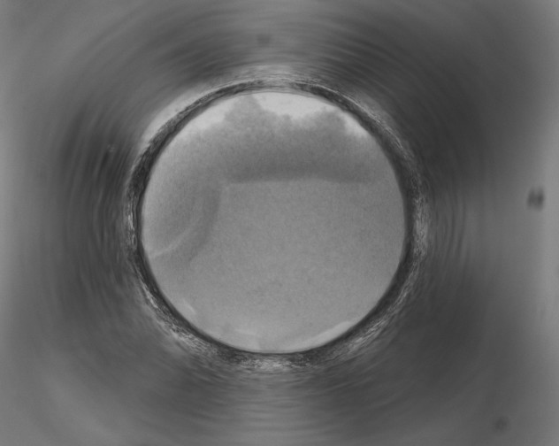 X0000115091070200912081229