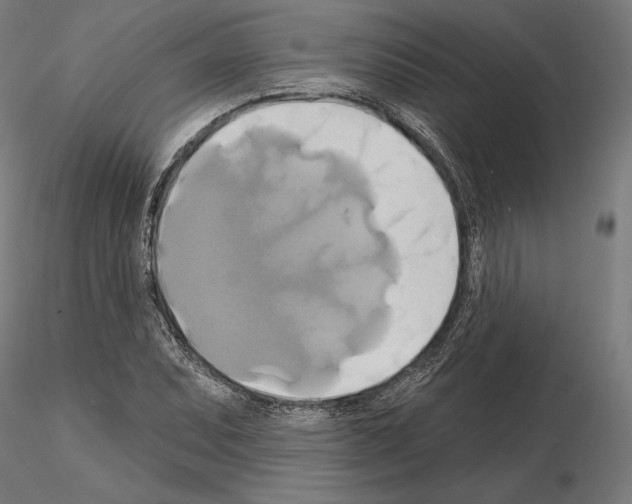 X0000115091071200912081229