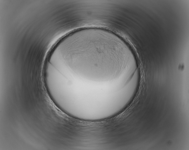 X0000115091072200912081229
