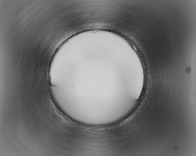 X0000115091073200912081229