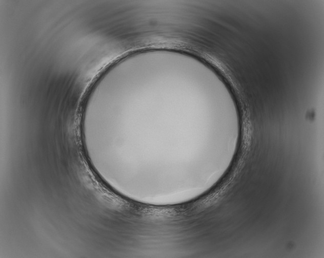 X0000115091074200912081229