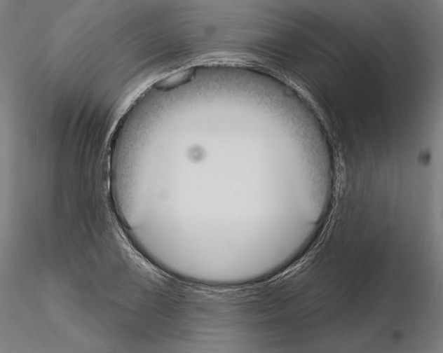 X0000115091075200912081229