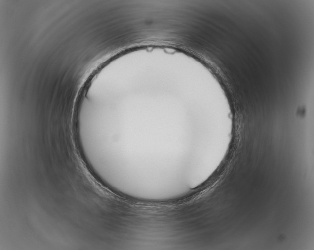 X0000115091077200912081229
