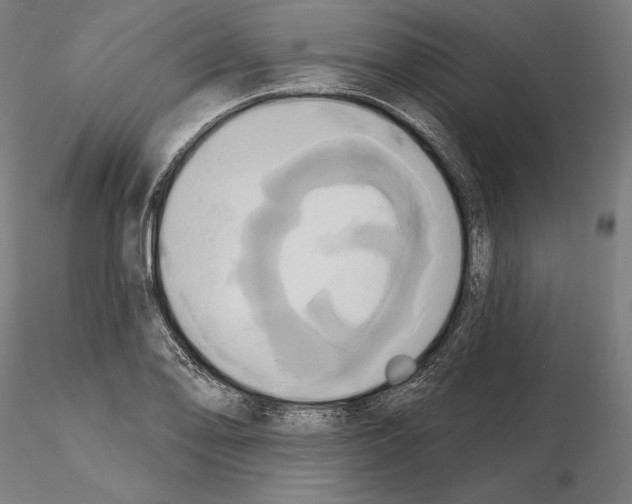 X0000115091078200912081229