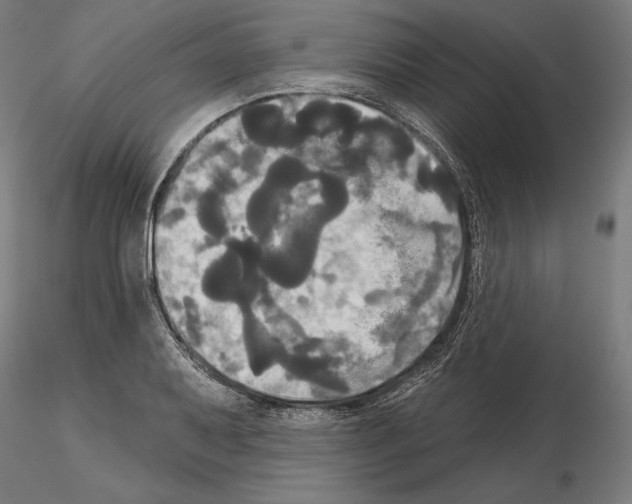 X0000115091079200912081229