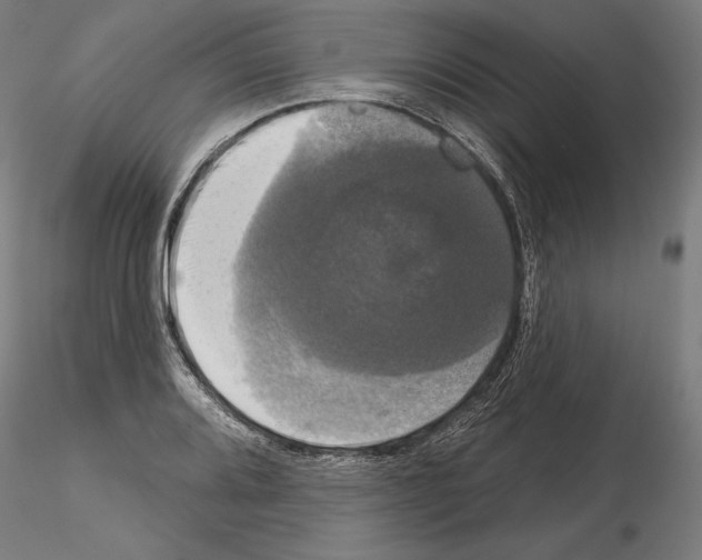 X0000115091080200912081229