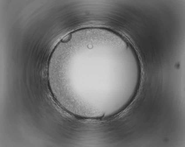 X0000115091081200912081229