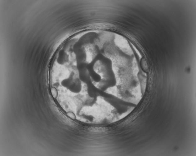 X0000115091083200912081229