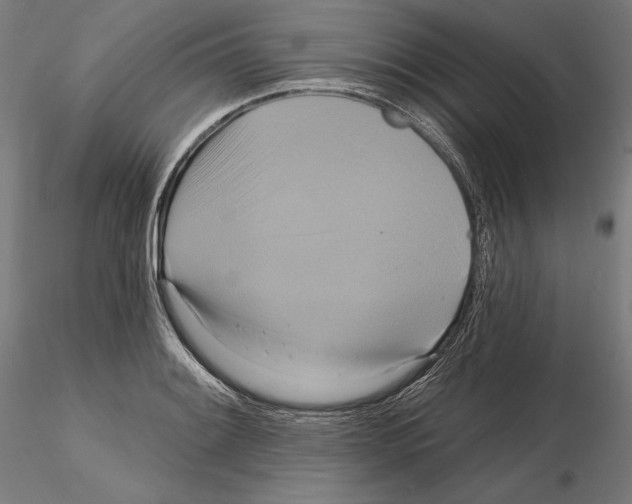X0000115091084200912081229