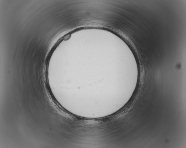 X0000115091085200912081229