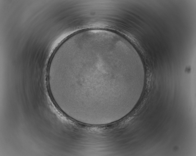 X0000115091086200912081229