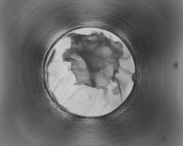 X0000115091087200912081229