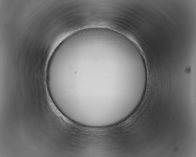 X0000115091088200912081229