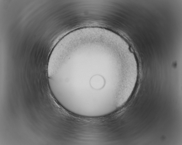 X0000115091089200912081229