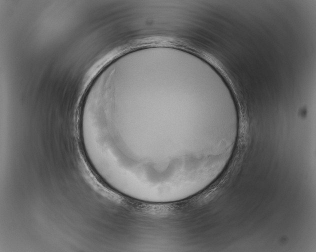 X0000115091090200912081229