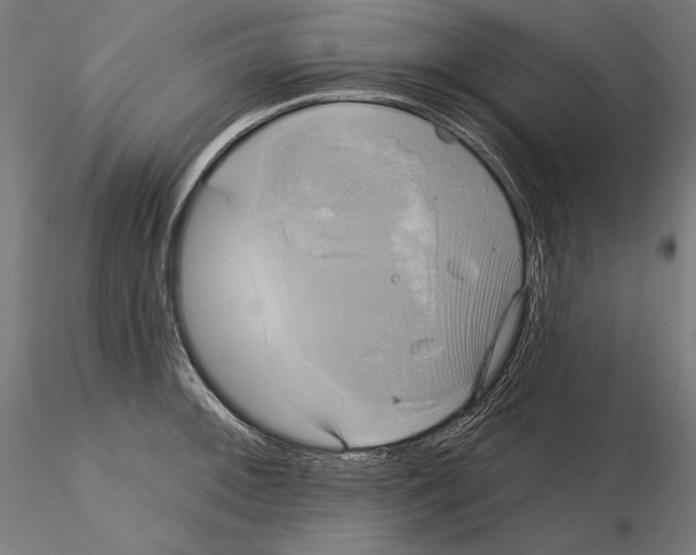 X0000115091092200912081229