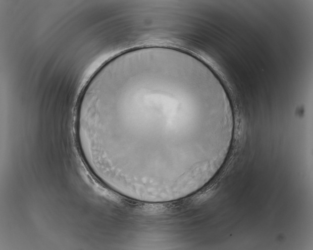 X0000115091094200912081229