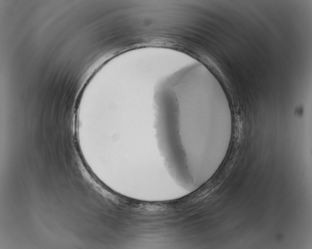 X0000115091095200912081229
