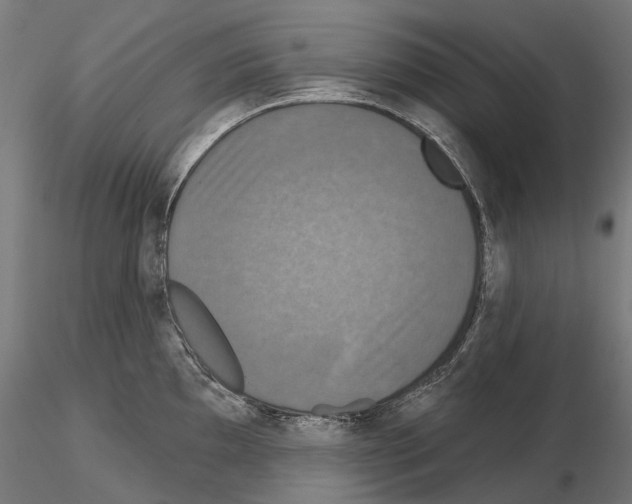 X0000115091097200912081229