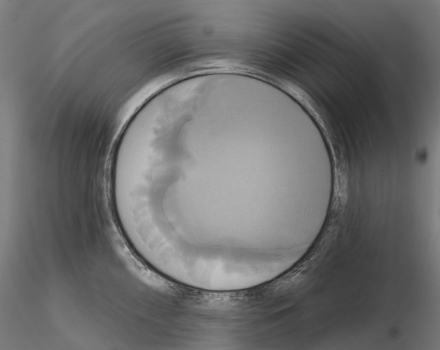 X0000115091098200912081229