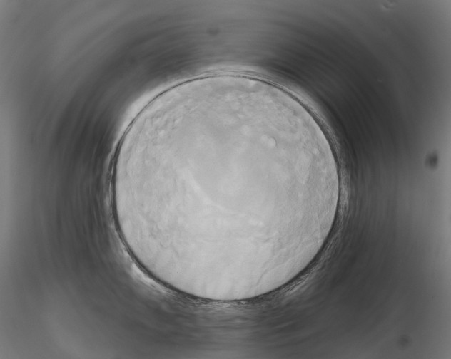 X0000115091102200912081229
