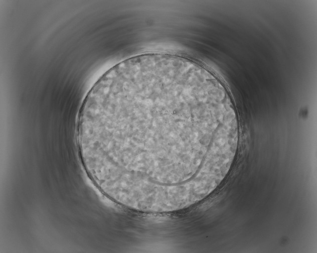 X0000115091103200912081229